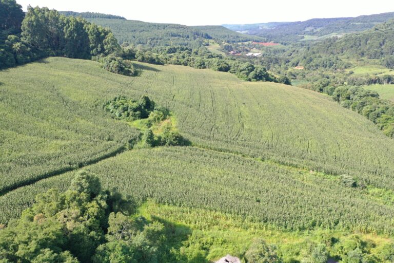 Área de plantio - cmud11iyf00197gh8nctshf66
