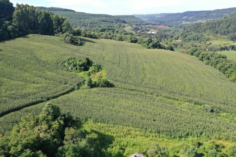 Área de plantio - cmud11kgp001a7gh8eako1vtx