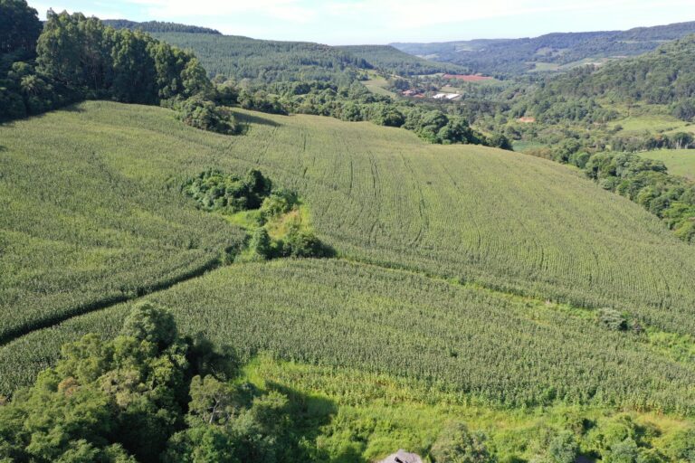 Área de plantio - cmud11lx1001b7gh8o60v0shf
