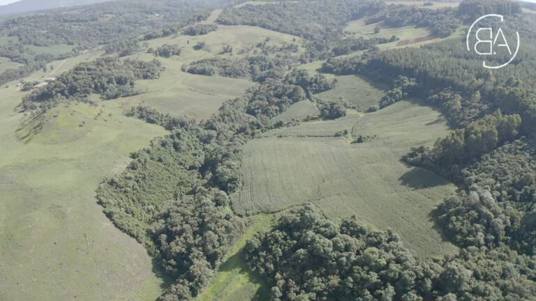 Área de plantio - cmud11p7s001e7gh8sxi3g406