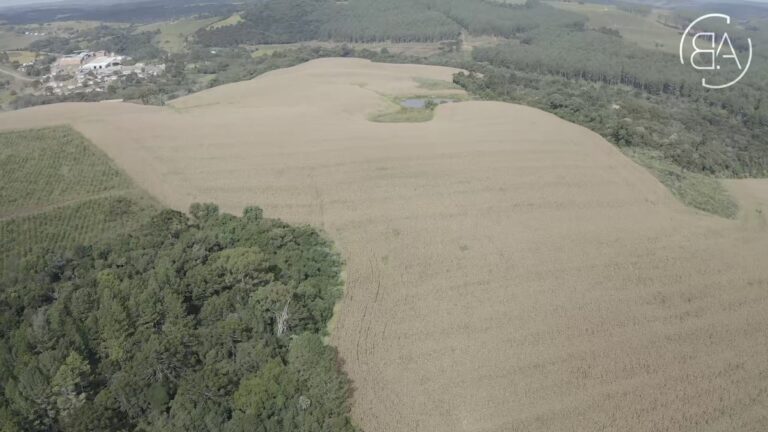 Área de plantio - cmud14gsn003i7gh8tkmtu9ki