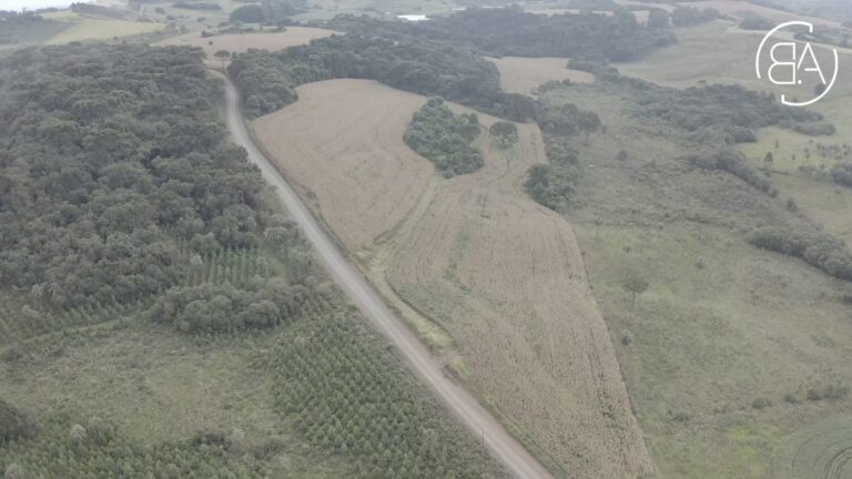 Área de plantio - cmud14mo6003n7gh8t7fdh26e