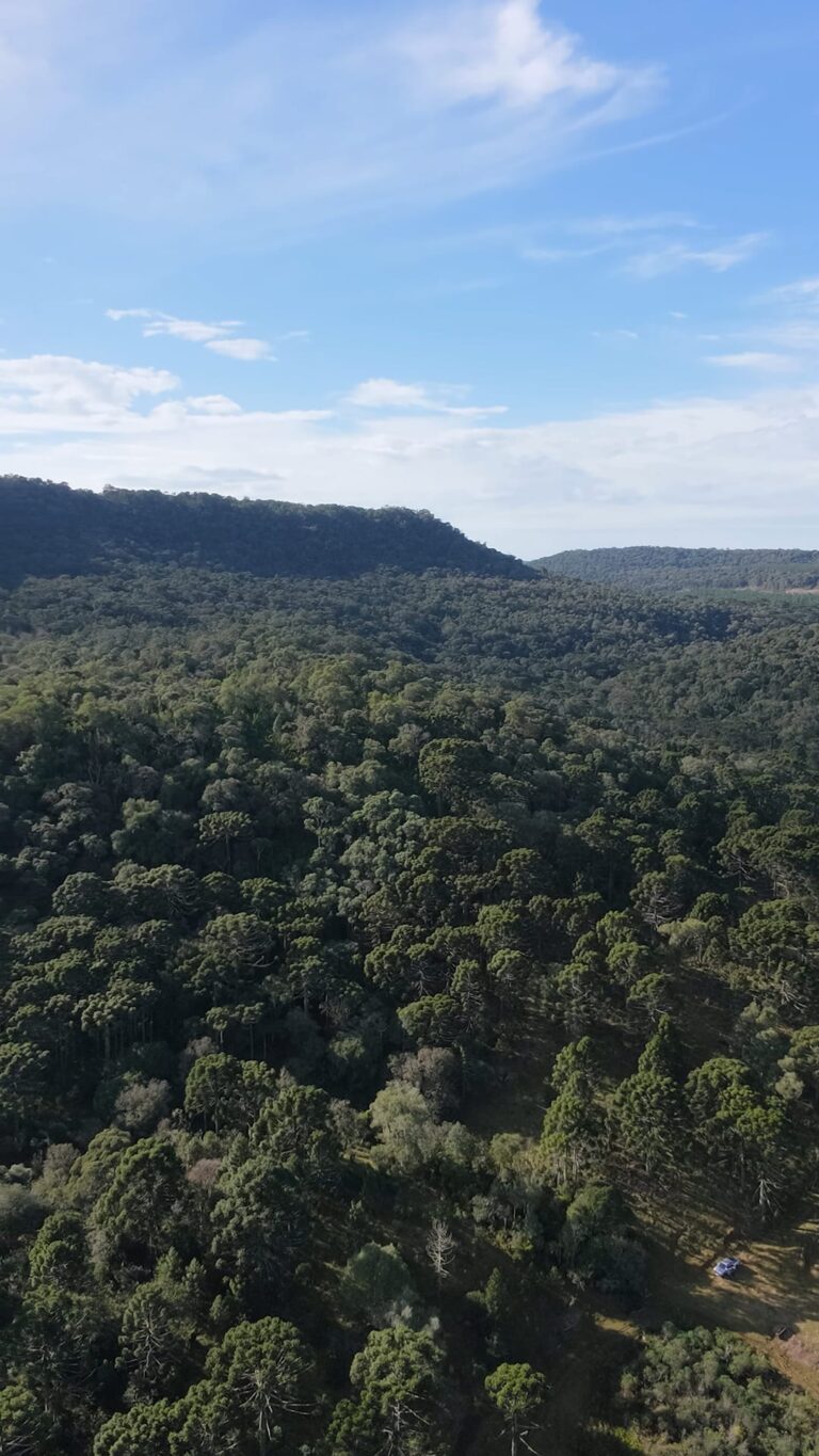 Fazenda Bracatinga I e II - cmud153kb003z7gh8dqvavijr