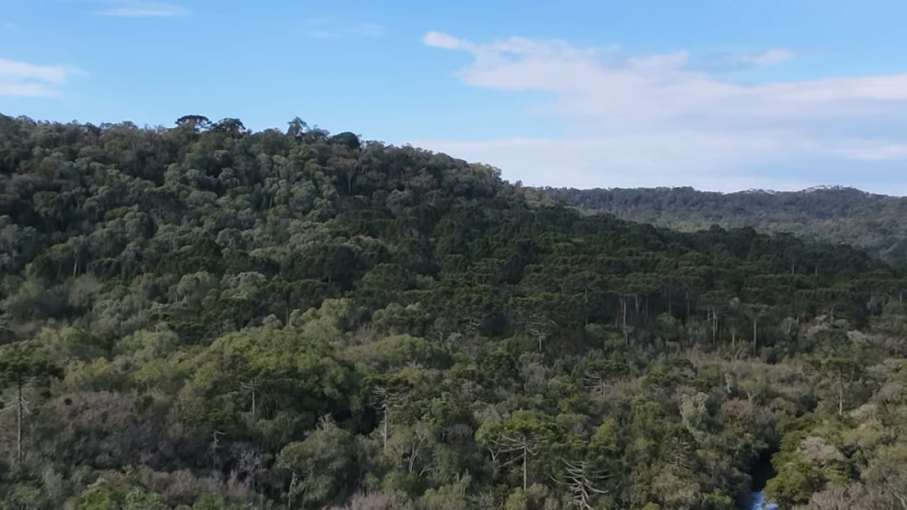 Fazenda Bracatinga I e II - cmud14yia003w7gh851kn7lv3