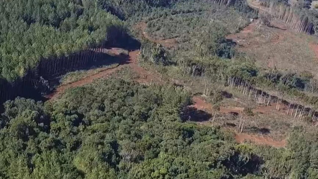 WhatsApp-Image-2025-09-28-at-18.44.48