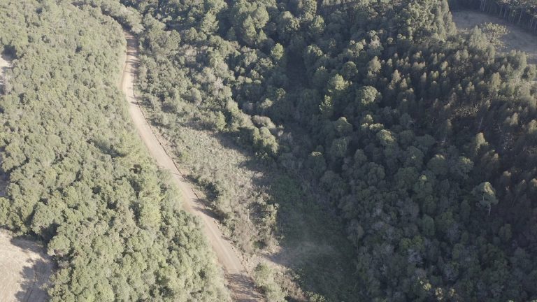 DJI_0712.MP4_snapshot_00.39.128