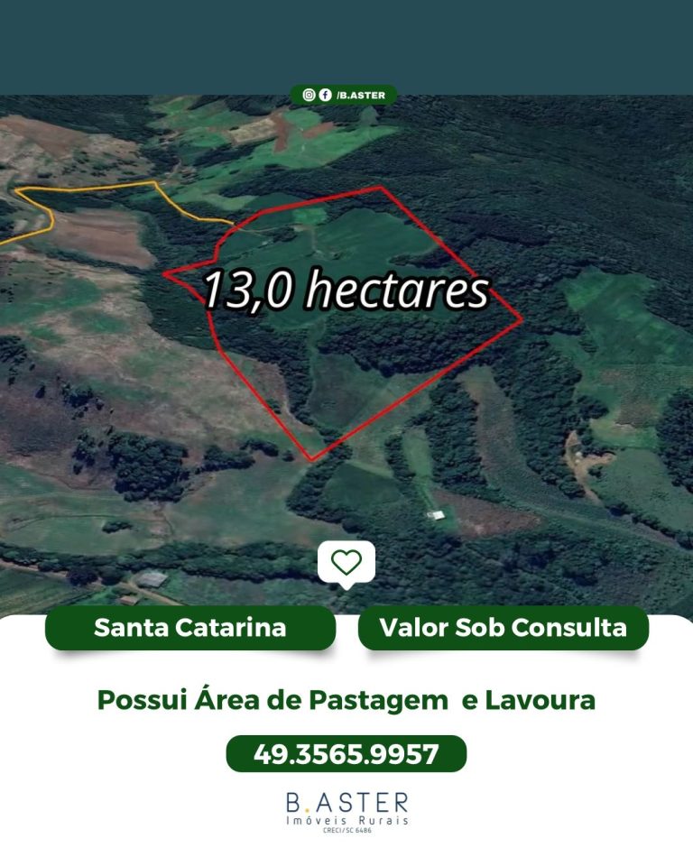 IMOVEIS-CACADOR-2