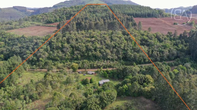 Idolvina-Marketing.mov_snapshot_00.38.388-1