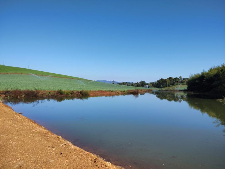 Imagens-propriedade-13