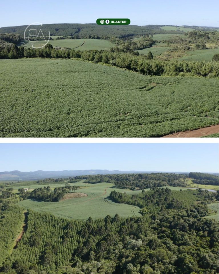 Imoveis-santa-cecilia-3