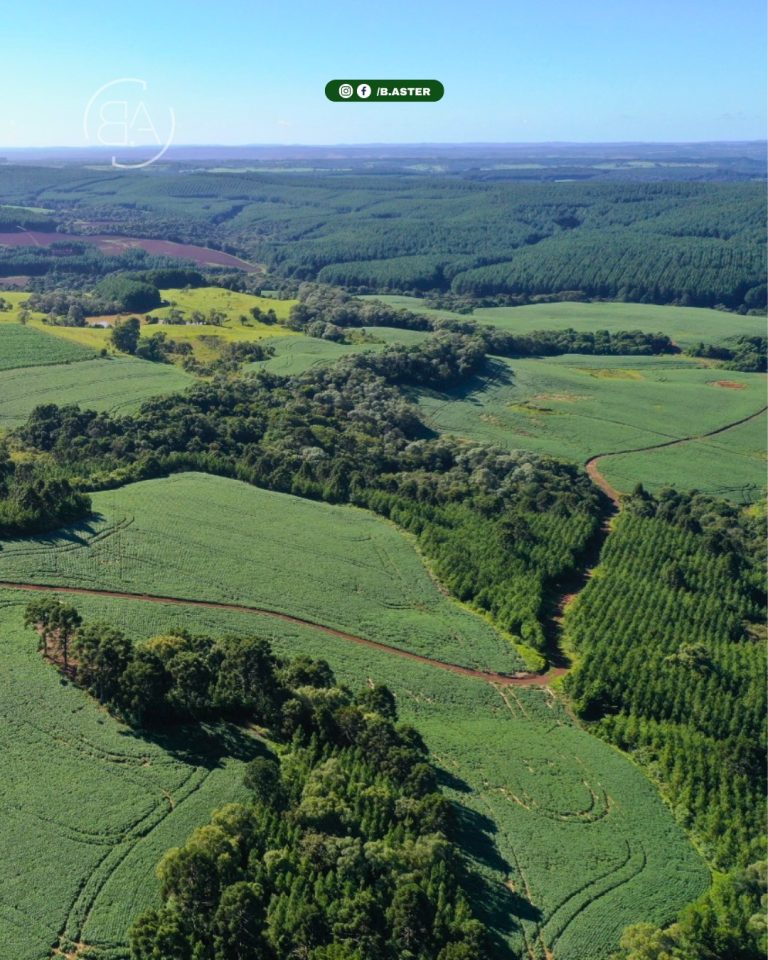 Imoveis-santa-cecilia-4