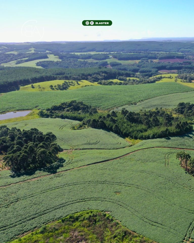 Imoveis-santa-cecilia-5