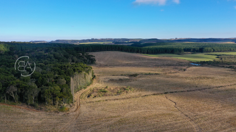 TERRENO-RURAL-AGUA-DOCE04