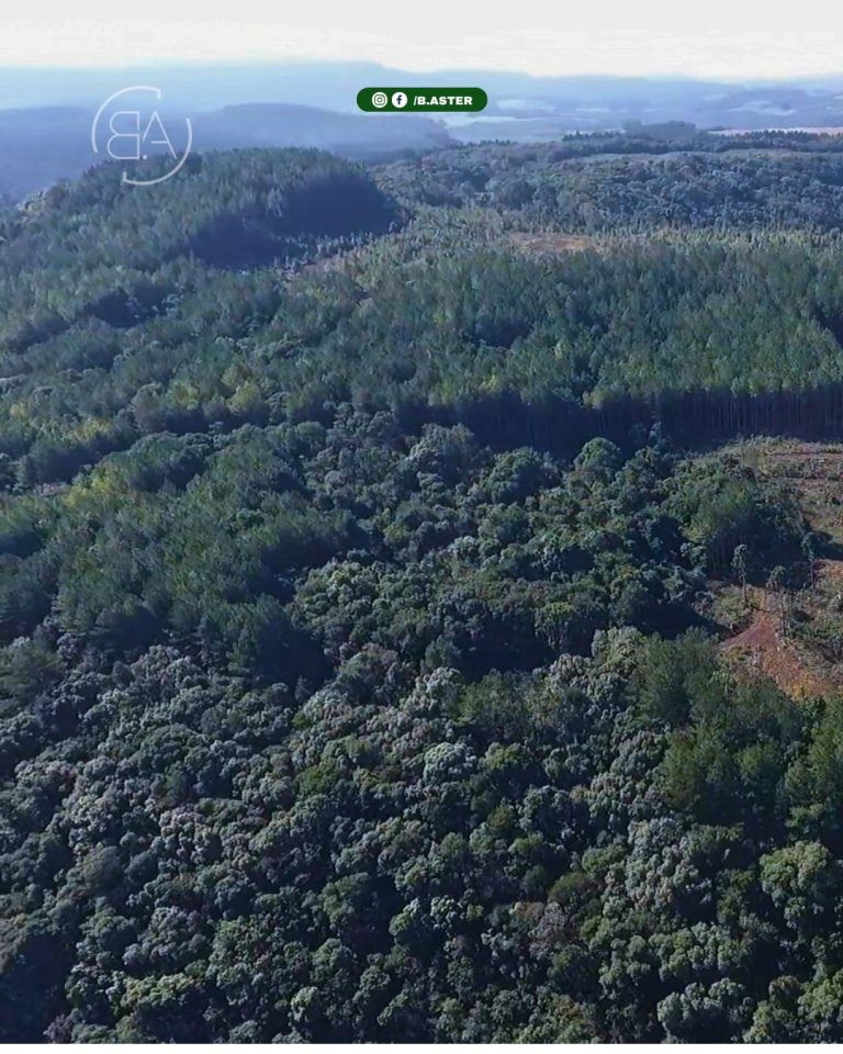 WhatsApp-Image-2025-09-28-at-18.44.46-1