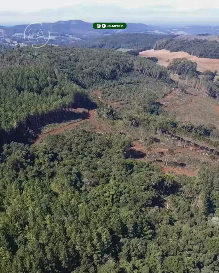 WhatsApp-Image-2025-09-28-at-18.44.48-4