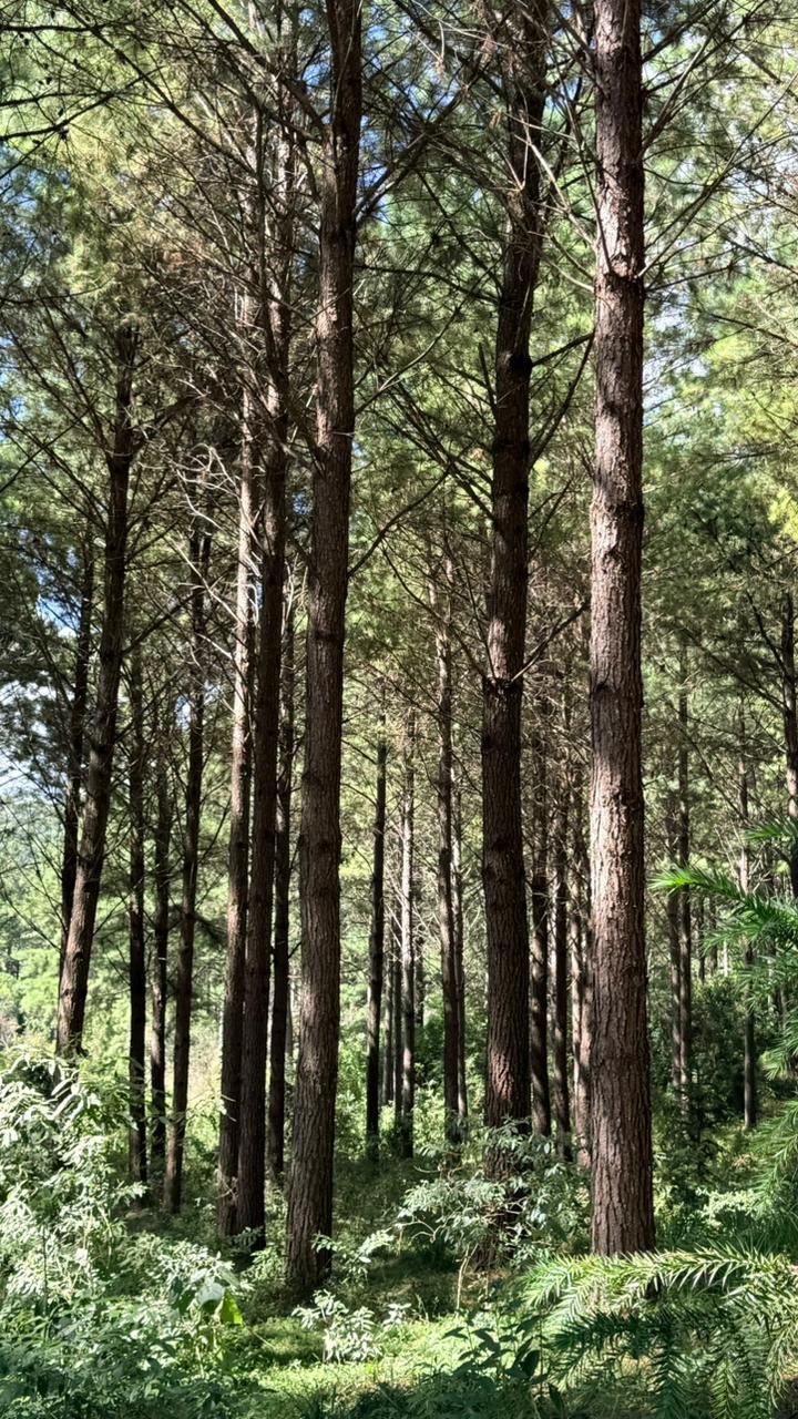 WhatsApp-Image-2026-01-27-at-21.08.48