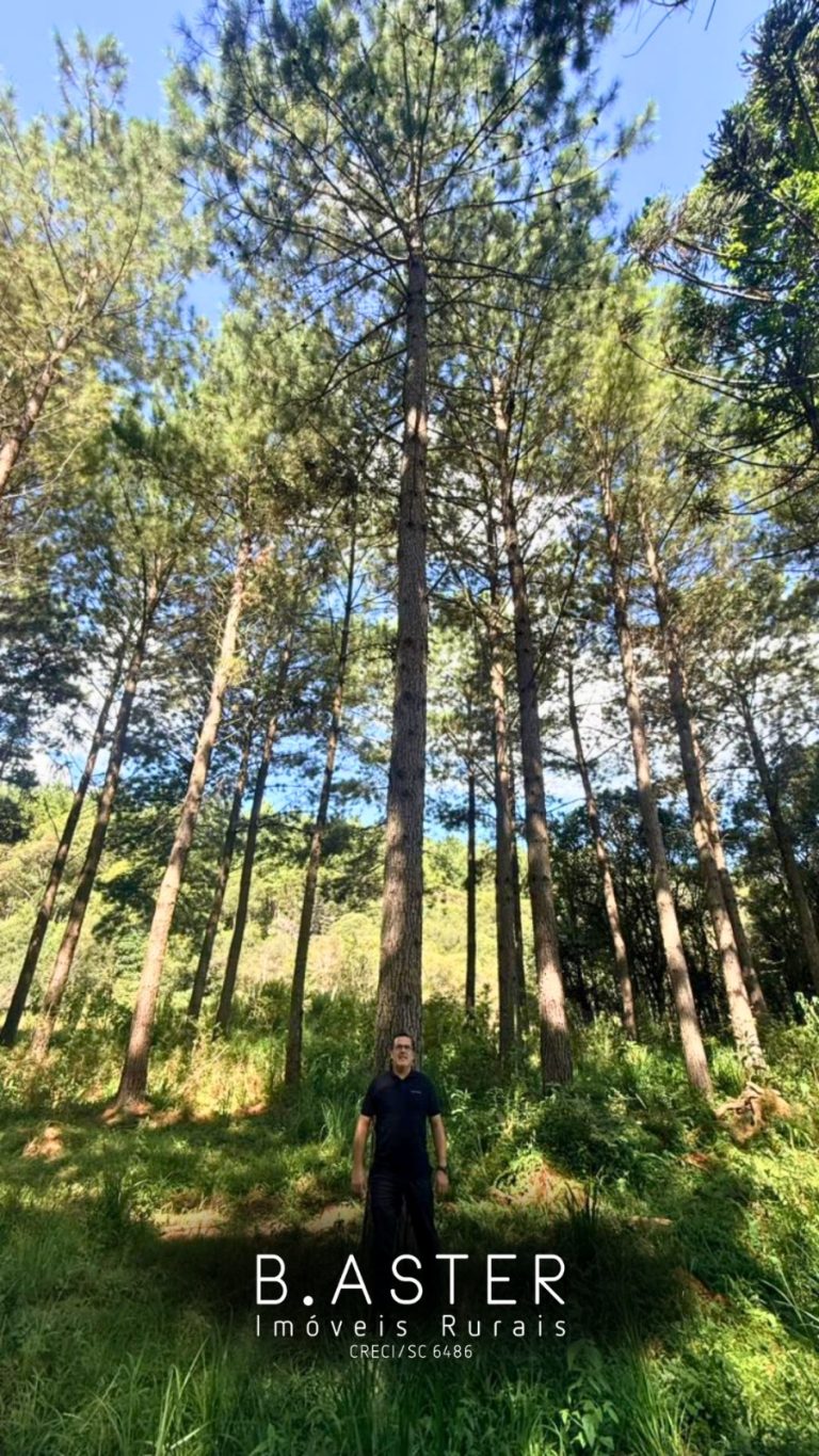 WhatsApp-Image-2026-01-28-at-11.17.55-1