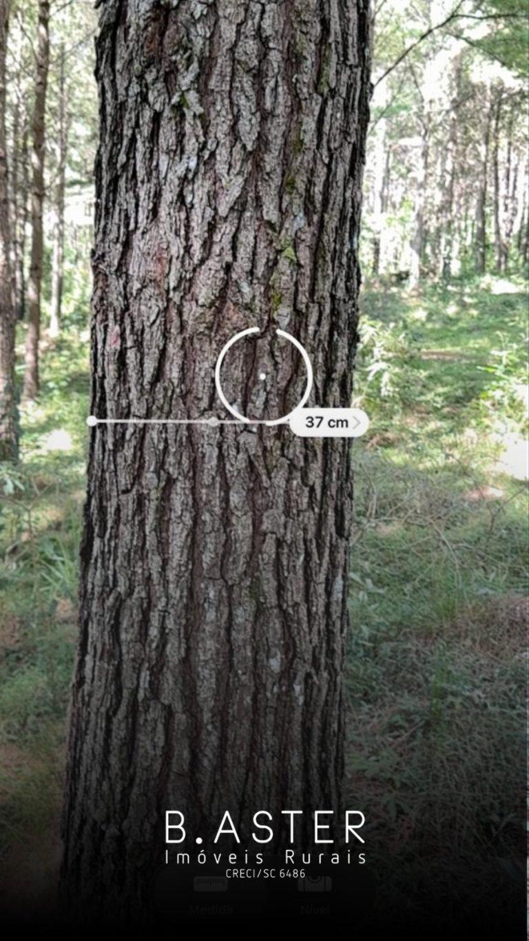 WhatsApp-Image-2026-01-28-at-11.17.55-2