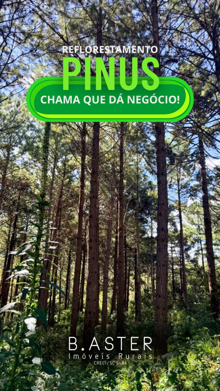 WhatsApp-Image-2026-01-28-at-11.17.55