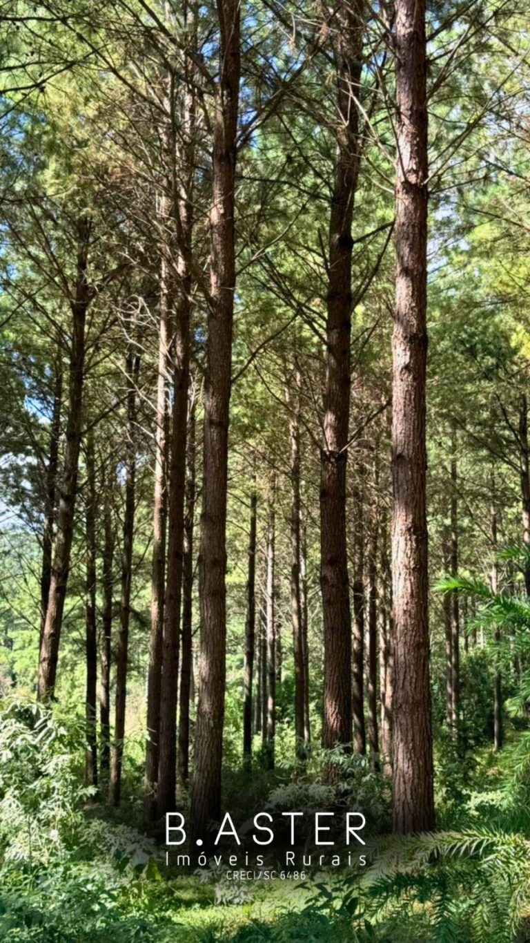 WhatsApp-Image-2026-01-28-at-11.18.00-1