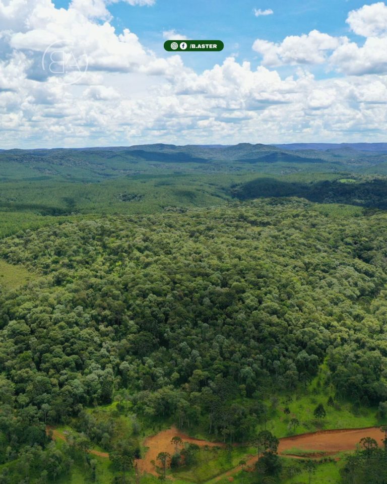 WhatsApp-Image-2026-02-11-at-20.56.48-1