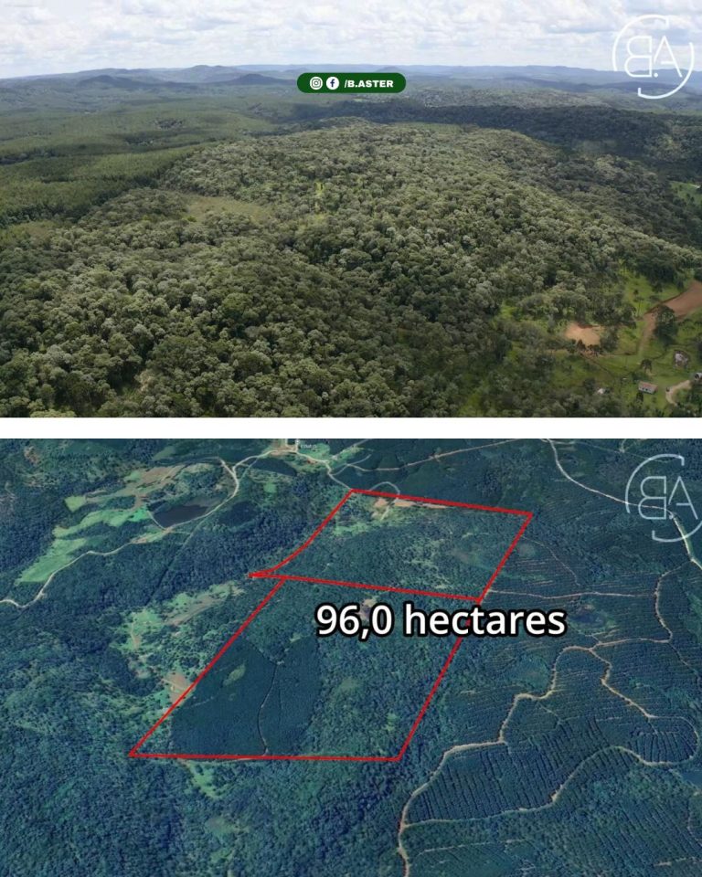 WhatsApp-Image-2026-02-11-at-20.56.49-1