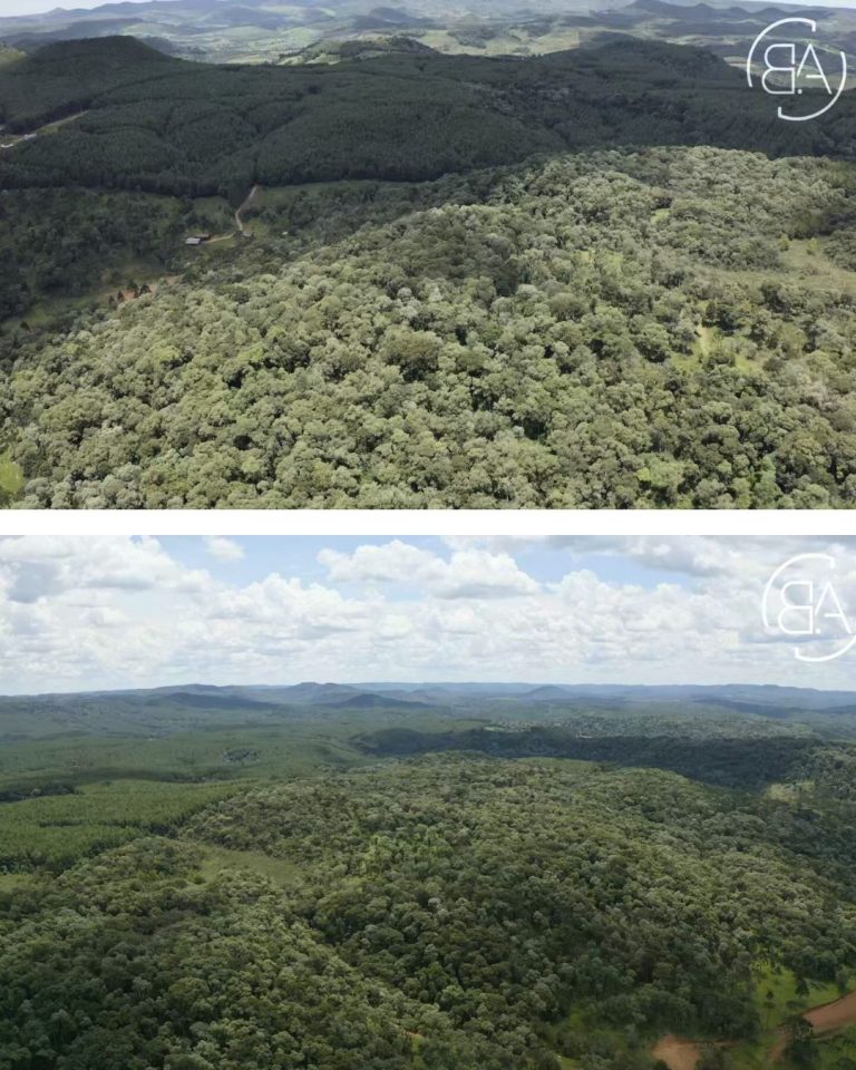 WhatsApp-Image-2026-02-11-at-20.56.49