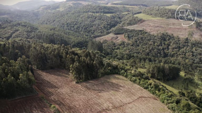 Idolvina-Marketing.mov_snapshot_00.21.552