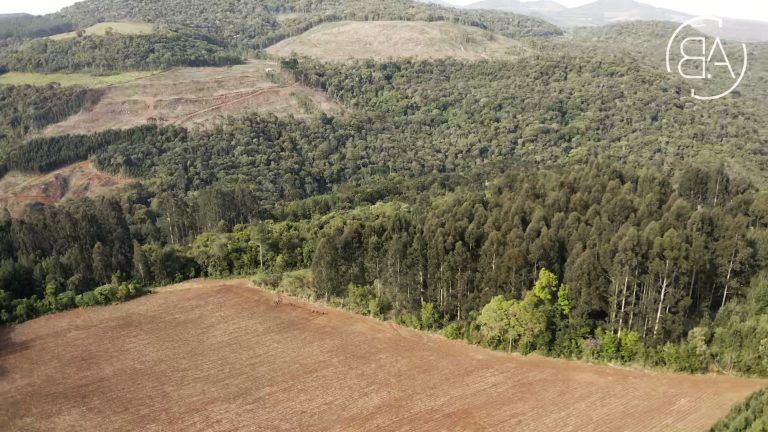 Idolvina-Marketing.mov_snapshot_00.27.123