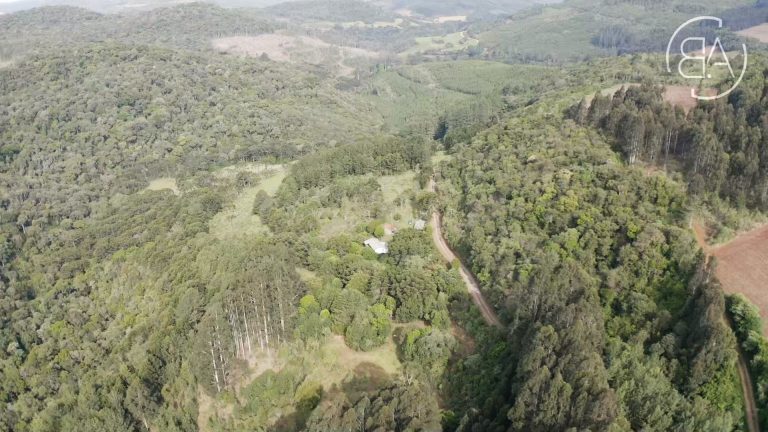 Idolvina-Marketing.mov_snapshot_00.32.062