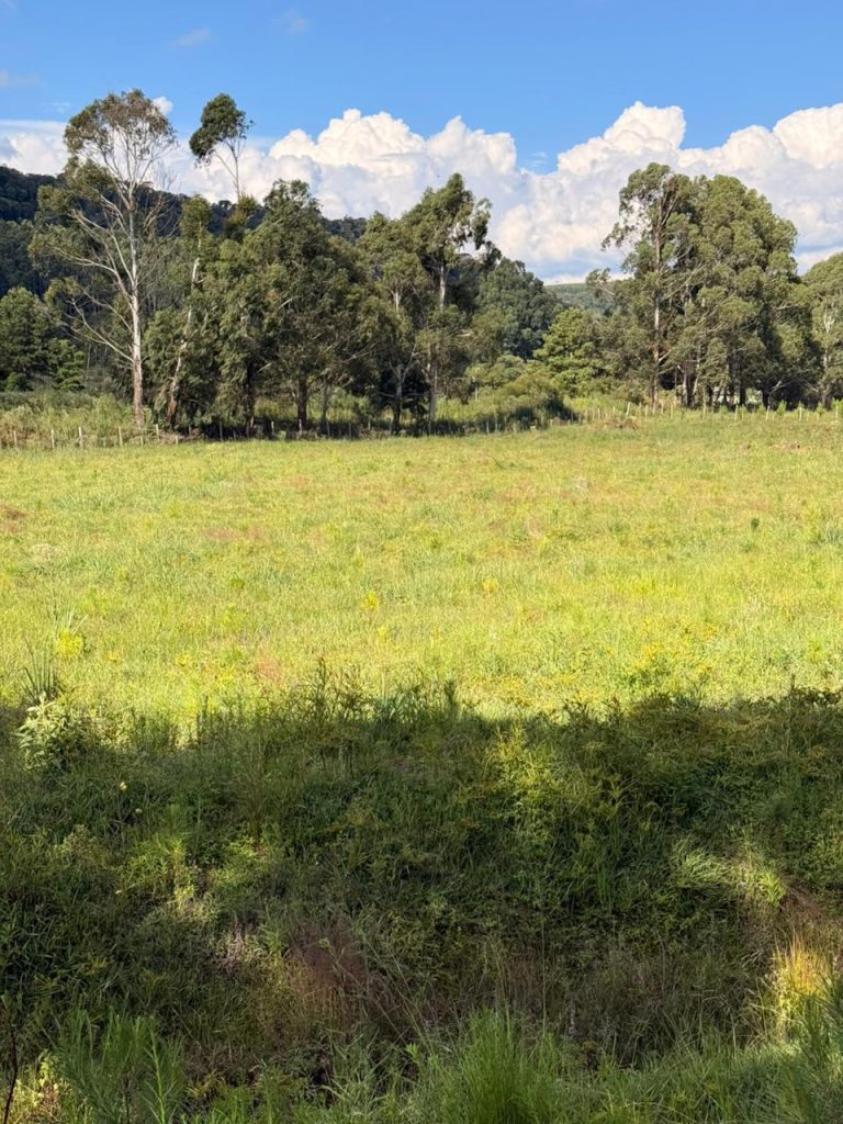 WhatsApp-Image-2026-02-16-at-15.17.51-1