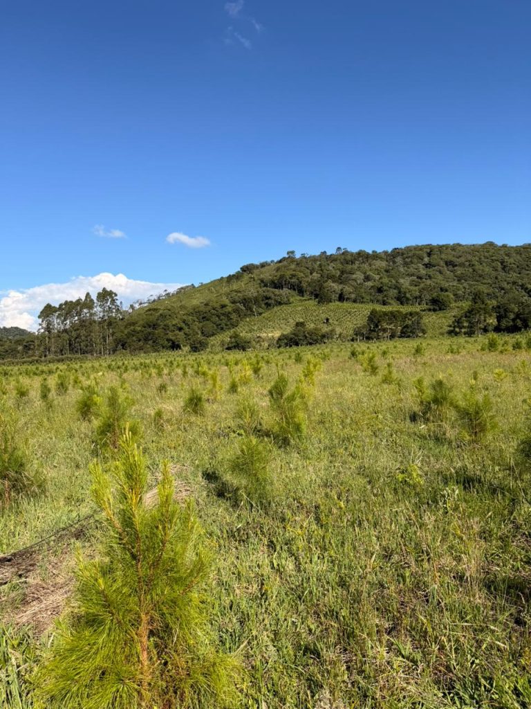 WhatsApp-Image-2026-02-16-at-15.17.51